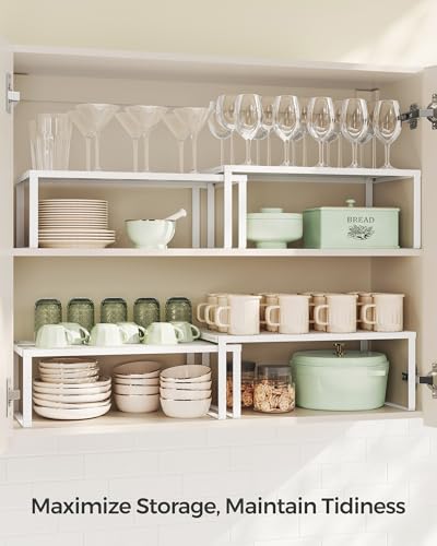 Set of 2 Metal Spice Racks (2 Count)