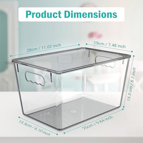 10 Pack Clear Storage Bins with Lids (10 Count)