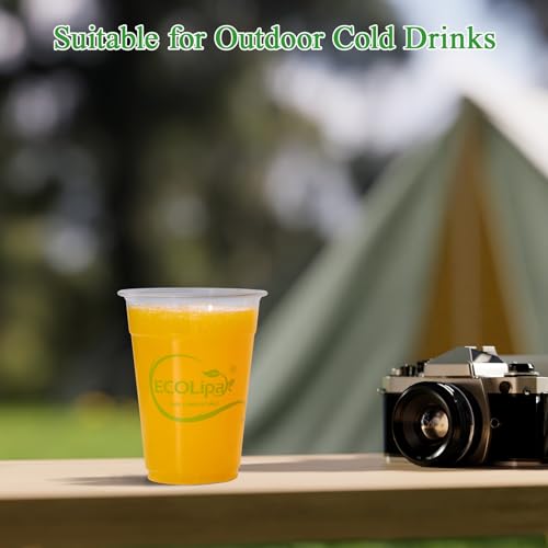 1000 Count 9 OZ Clear Compostable Plastic Cups for Restaurant
