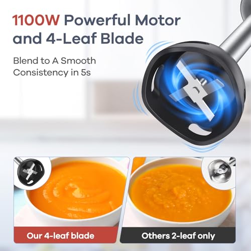 Immersion Blender Handheld