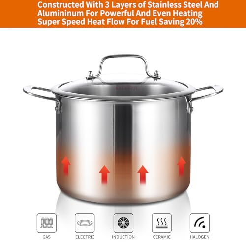 Tri ply Stainless Steel 8 Quart Heavy Duty Induction Stock Pot