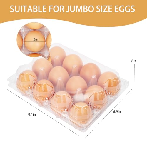 60Pack Duck Egg Cartons Cheap Bulk 1 Dozen Jumbo Egg Cartons (60 Count)