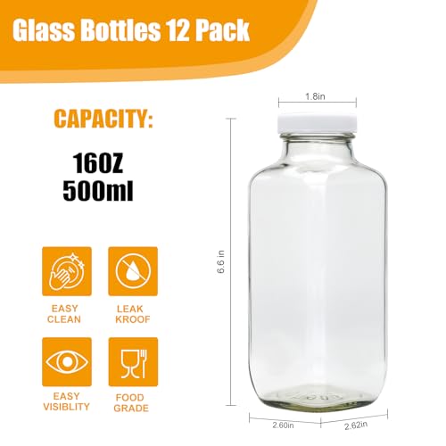 16 oz Juice Bottles with Lids (12 Count)