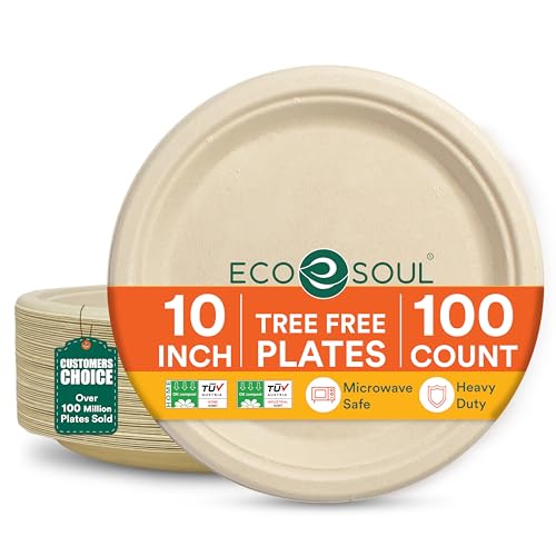 10 Inch Disposable Bagasse Paper Plates (100 Count)
