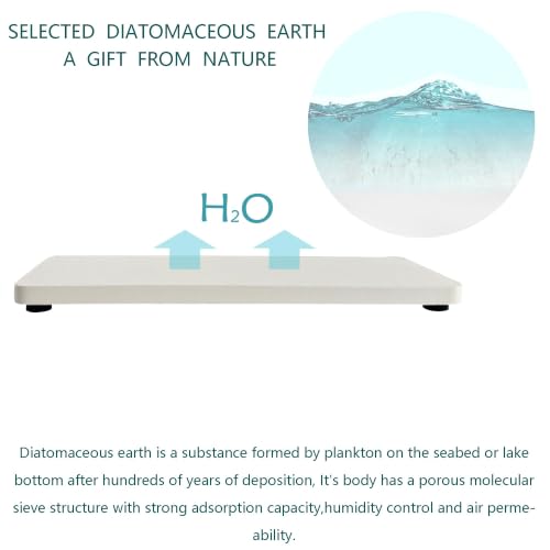 2Pcs Sink Stone Soap Tray Water Absorbing Diatomite Coaster (2 Count)