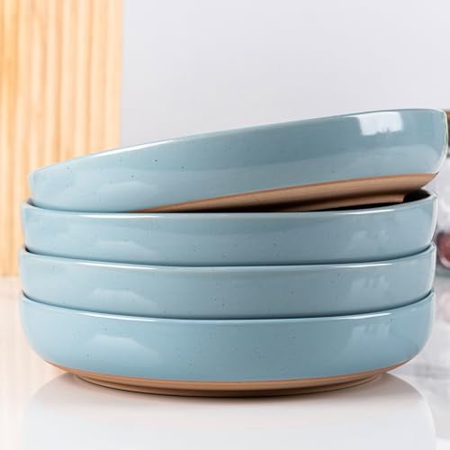 8.75'' Large Ceramic Pasta Bowls (4 Count)