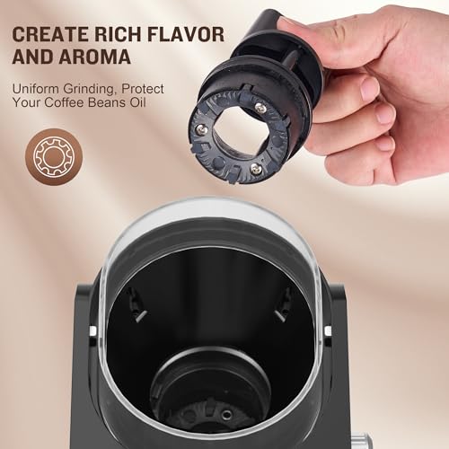 Burr Coffee Grinder