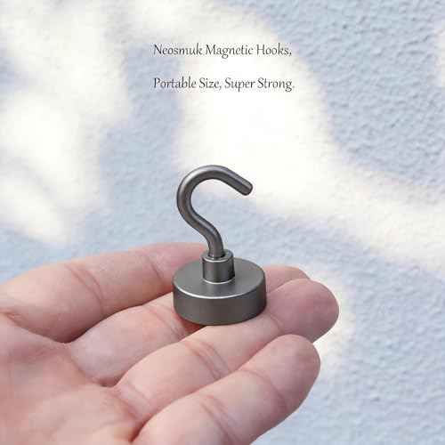 Magnetic Hooks (10 Count)