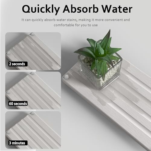 2 PCS Water Absorbing Stone Trays for Bathroom Sink Fast Drying Coasters (2 Count)