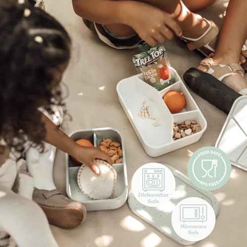Kids Bento Box