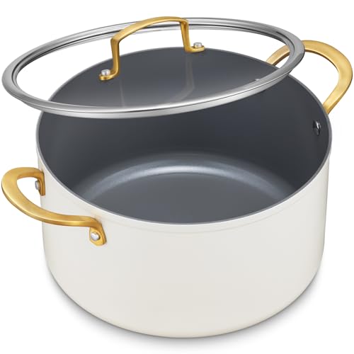12QT Large Ceramic Nonstick Stock Pot with Lid