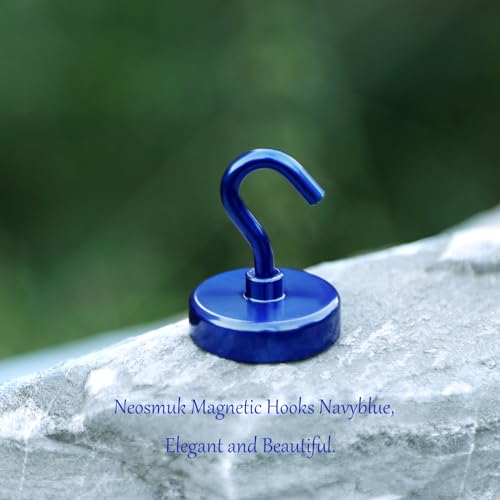 Magnetic Hooks (10 Count)
