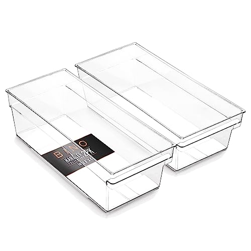 Plastic Storage Bins (2 Count)