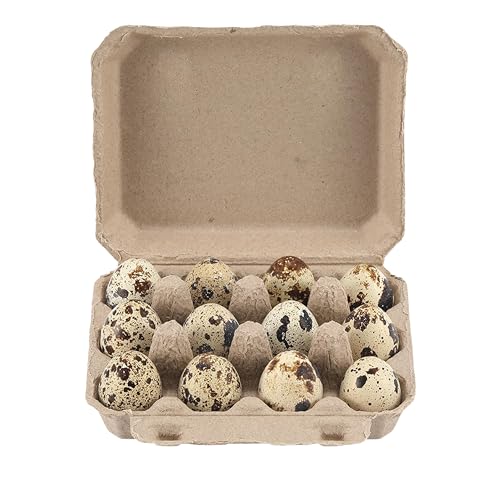 30 Pcs Quail Egg Cartons Paper Pulp Egg Basket (30 Count)