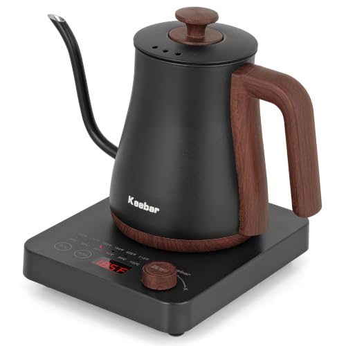 Gooseneck Electric Kettle