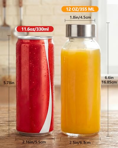 Glass Water Bottles with Stainless Steel Lids 12 oz (12 Count)