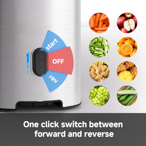 Cold Press Juicer Machine