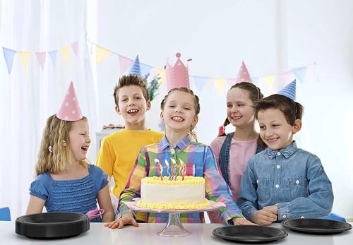 Sturdy Black Plastic Plates 10" Party Plates 100 Pcs (100 Count)