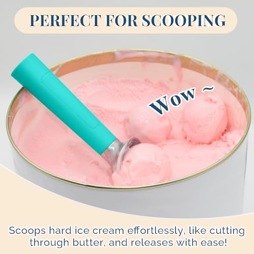Heated Ice Cream Scoop Rechargeable