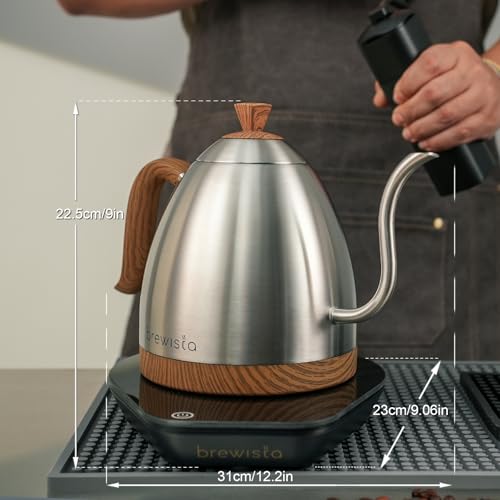 Artisan Electric Gooseneck Kettle