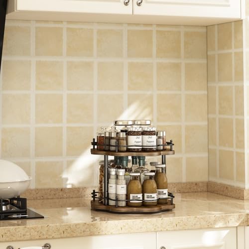 2 Tier Lazy Susan Organizer