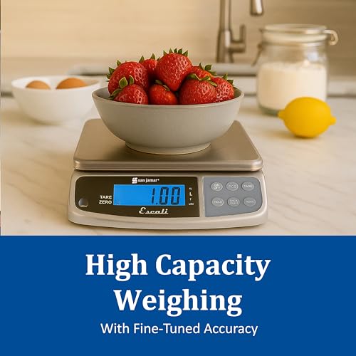 Digital Food Scale