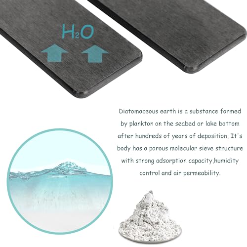 2Pcs Stone Soap Trays Water Absorbing Diatomite Coaster (2 Count)