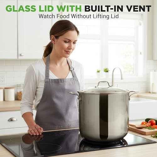 19 Qt Stock Pot with Lid