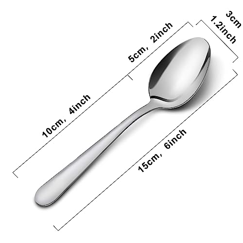 36 Piece Tea Spoons Set (36 Count)