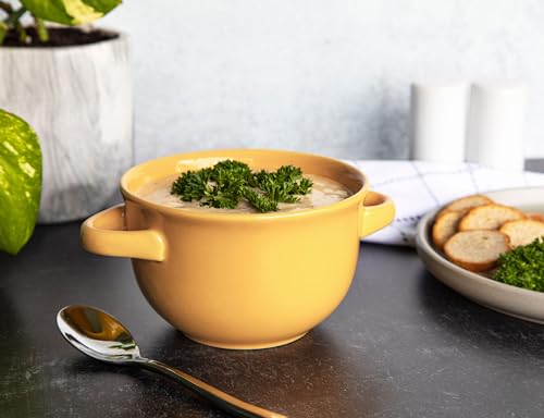 French Onion Soup Crocks with Lids & Handles (4 Count)