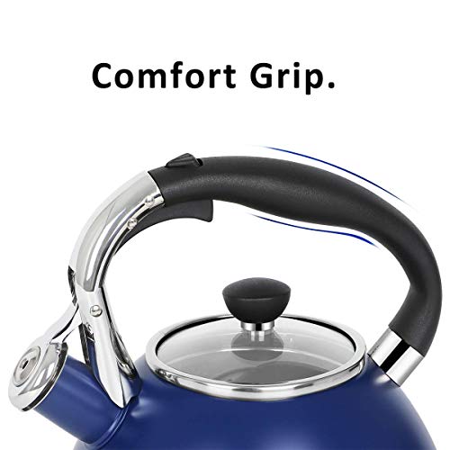 Whistling Tea Kettle for Stove Top