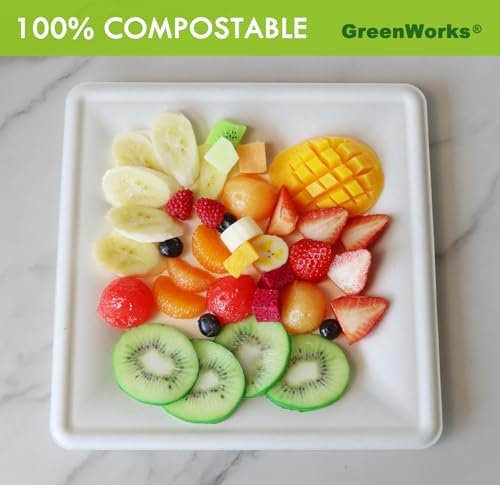100 Count 10 Inch Large Square Compostable plates