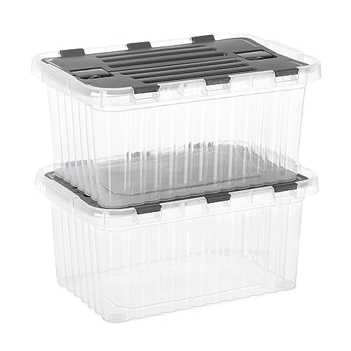 Clear Storage Boxes with Attached Lids (2 Count)
