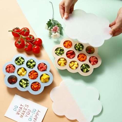 2 Pack Baby Food Freezer Tray with Lids (2 Count)