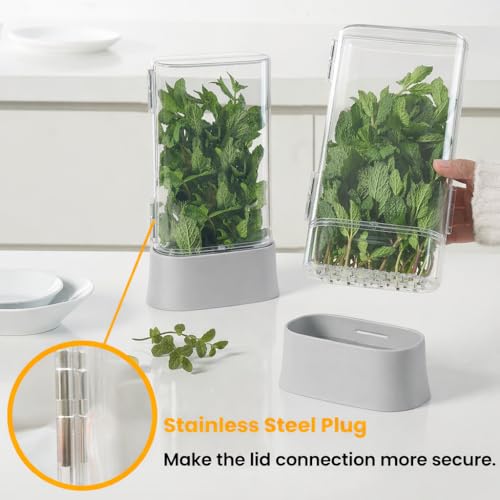Herb Keeper for Refrigerator