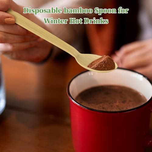 300 Count Disposable Compostable Bamboo Spoons for Party