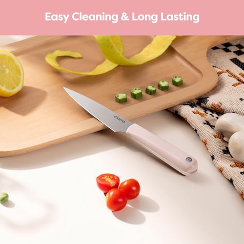 Professional Kitchen Knife Set 4 PCS
