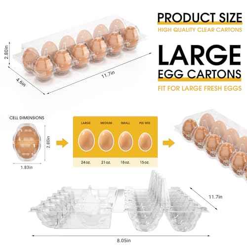 100 Pack Large Egg Cartons Cheap Bulk 12 Count Plastic Egg Containers 2x6 (100 Count)