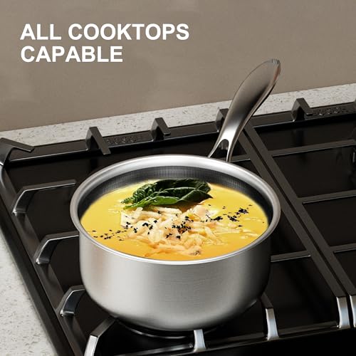 2 Qt Stainless Steel Saucepan