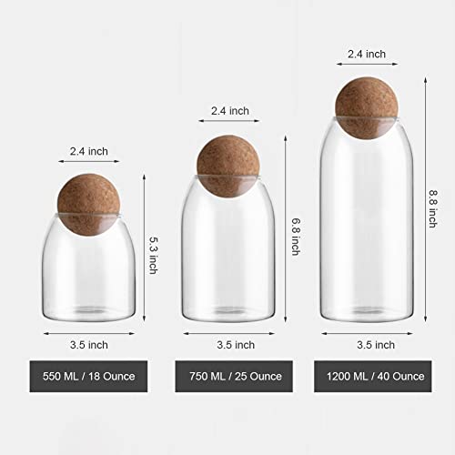 1200ML 40Oz Glass Storage Container with Ball Cork