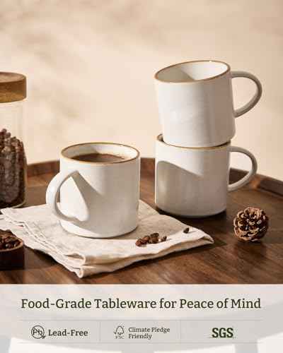 Coffee Mugs Set of 6 (78 Count)