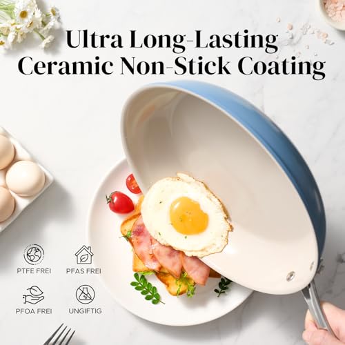 Nonstick Frying Pan Skillet