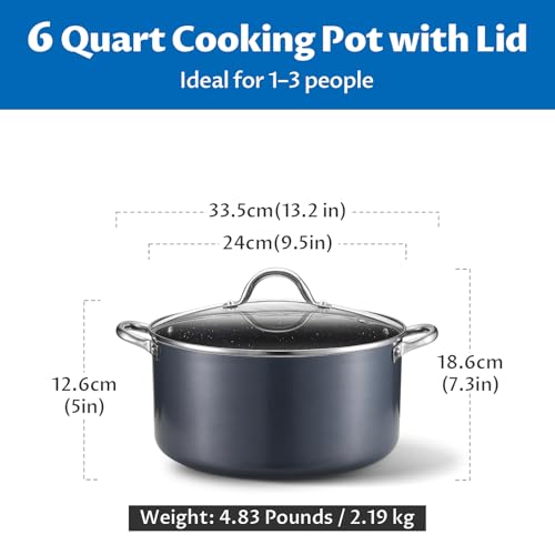 6 Quart Nonstick Stock Pot with Lid