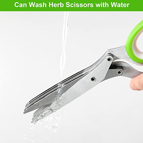 5 Blades Herb Scissors