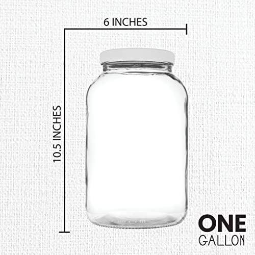 1 Gallon Glass Jar Wide Mouth with Airtight Foam Lined Plastic Lid (4 Count)