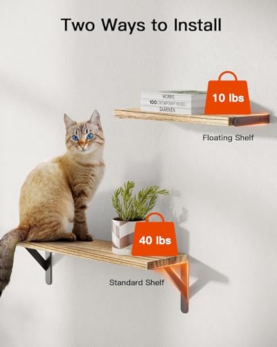 Amada Solid Paulownia Wood Wall Shelves (6 Count)