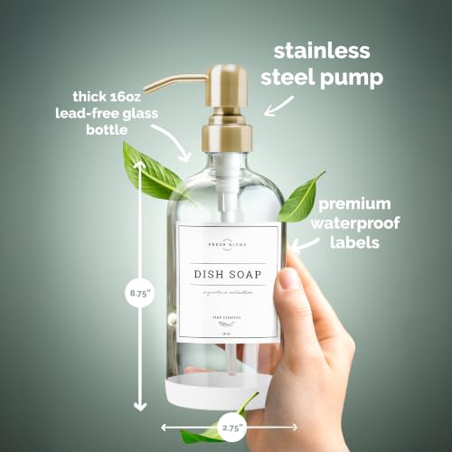 Clear Glass Soap Dispenser (2 Count)