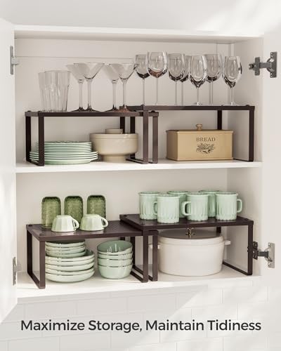 Set of 2 Metal Spice Racks (2 Count)