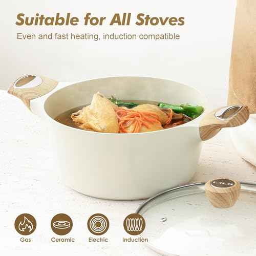 Ceramic Nonstick Stock Pot with Lid (2 Count)