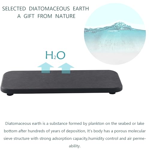 2Pcs Stone Soap Trays Water Absorbing Diatomite Coaster (2 Count)